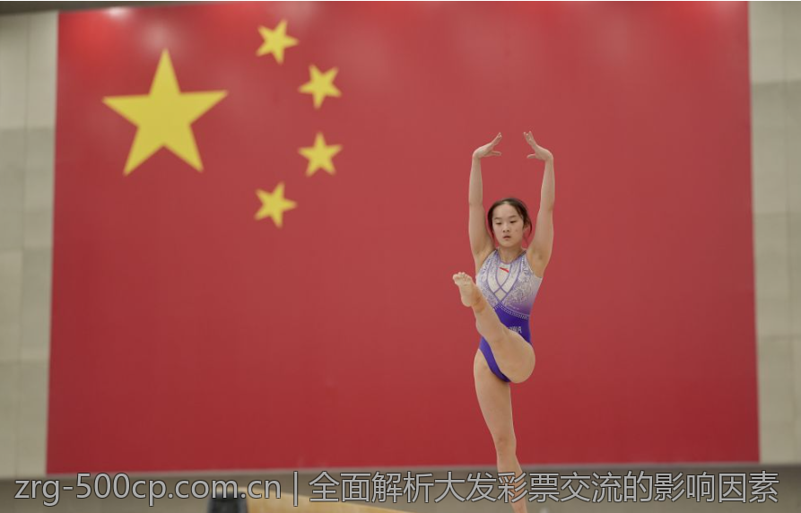 全面解析大发彩票交流的影响因素