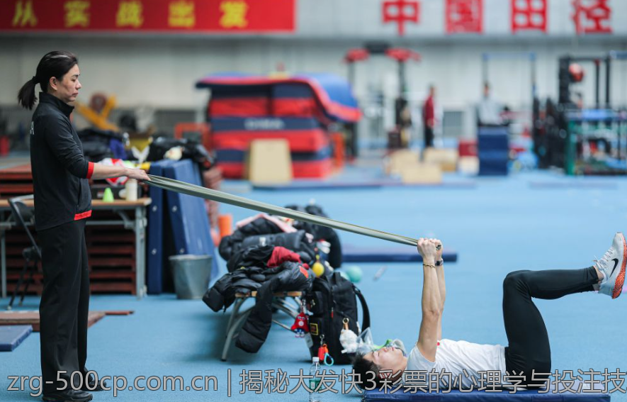 全面评测大发彩票应用的安全性与可靠性