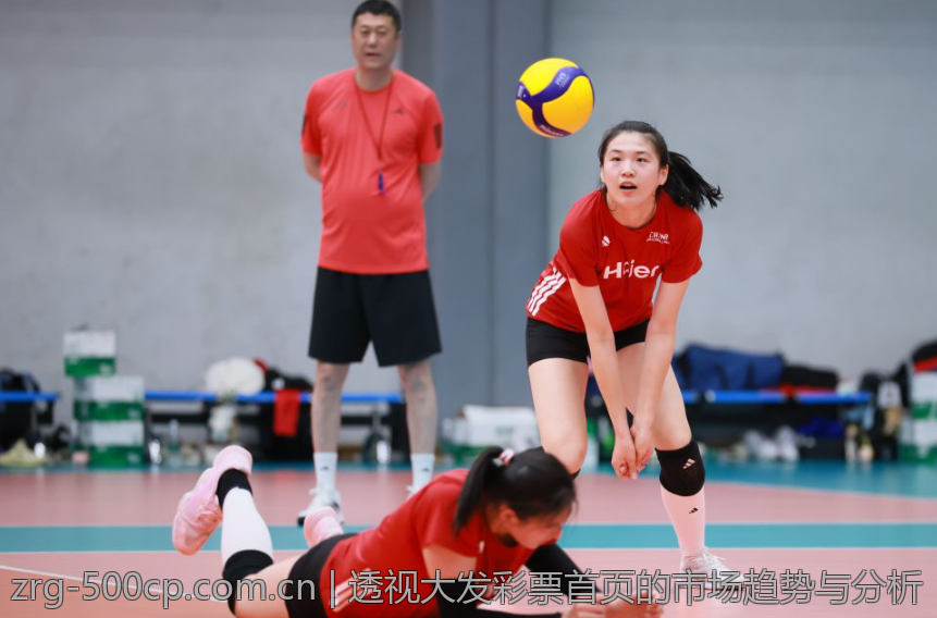 透视大发彩票首页的市场趋势与分析