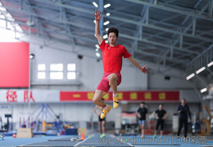 大发赢家彩票的技巧与案例分析