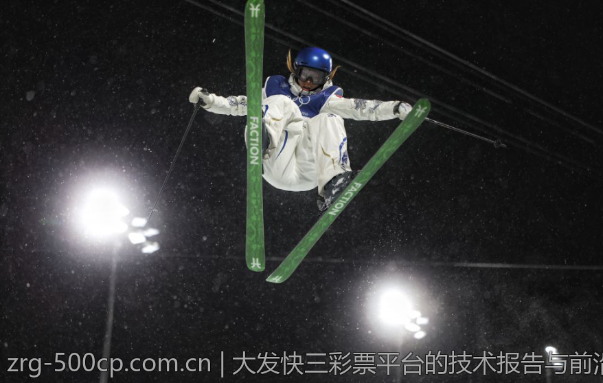 大发快三彩票平台的技术报告与前沿研究