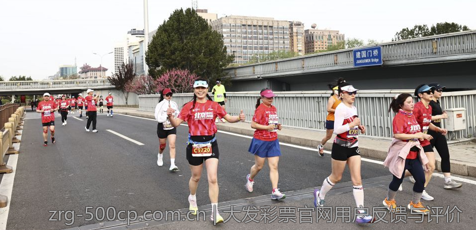 大发彩票官网用户反馈与评价