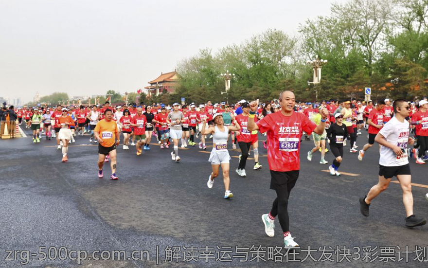 解读幸运与策略在大发快3彩票计划中的作用