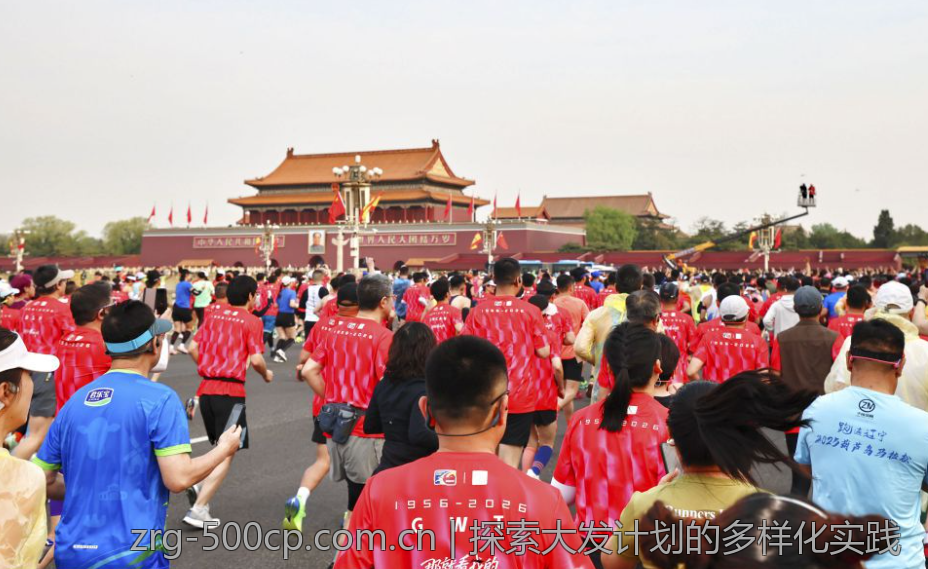 探索大发计划的多样化实践