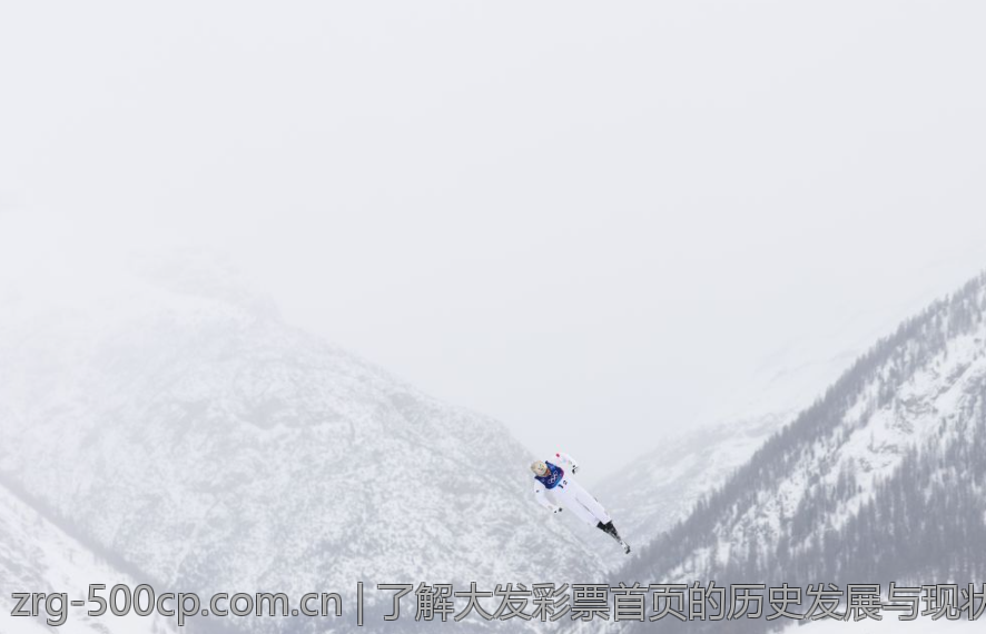 了解大发彩票首页的历史发展与现状